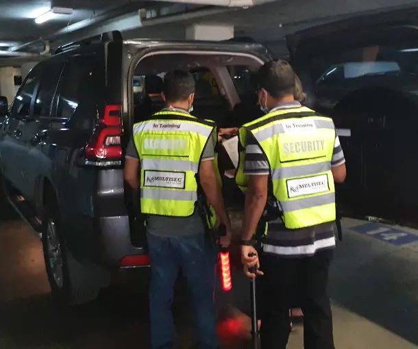 Search the car assessment- Multisec Training 