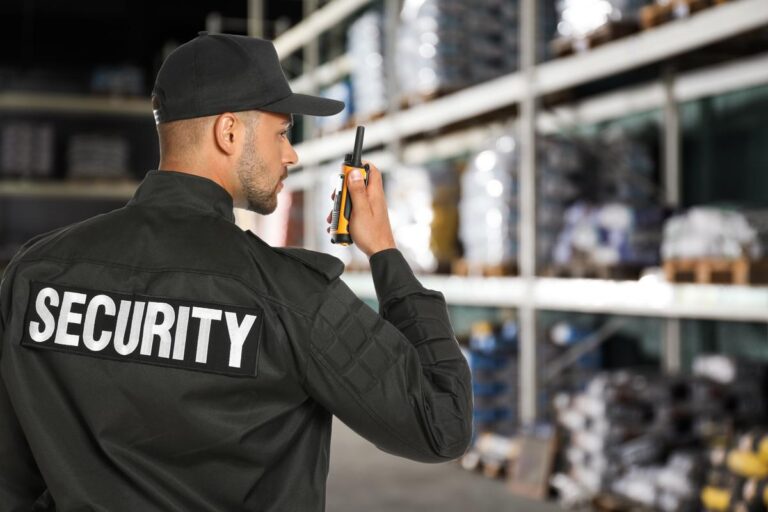 Security Career