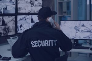 Security certificate ii entry level career