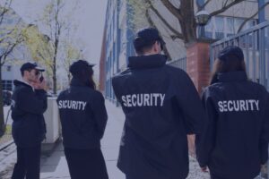 Top Security Training Courses